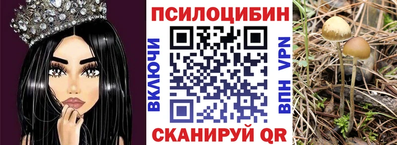 площадка официальный сайт  купить   Стрежевой  Галлюциногенные грибы MAGIC MUSHROOMS 