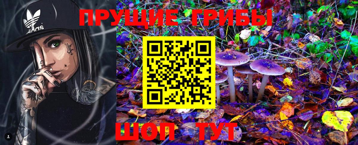 Псилоцибиновые грибы GOLDEN TEACHER  Галлюциногенные грибы мухоморы  Стрежевой  купить наркоту  Вход с VPN 