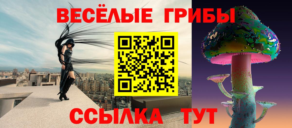 Псилоцибиновые грибы Psilocybine cubensis Стрежевой
